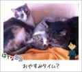 20120225134642