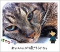20120226162033