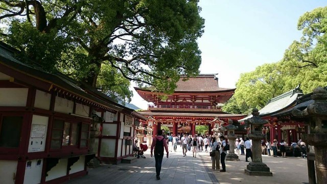 f:id:ui_a:20170609211809j:image