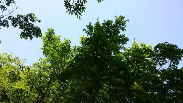 f:id:ui_a:20170609224302j:image