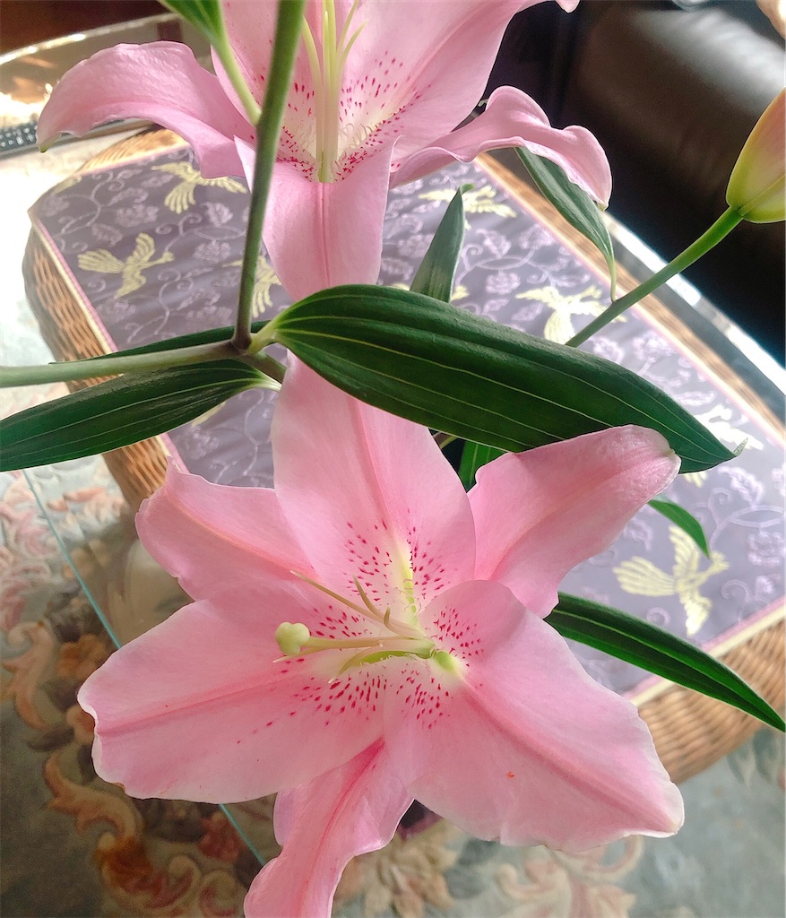 f:id:uidesigner:20201213214332j:image f:id:uidesigner:20201213214332j:image
