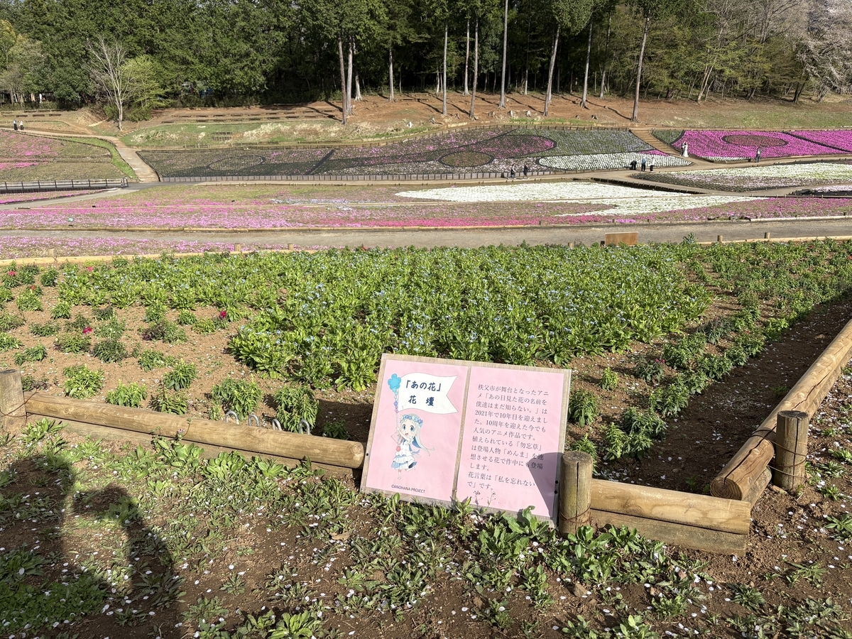 秩父 芝桜まつり羊丘公園～あの花聖地ミニ探訪 - ウイロウのほぼ