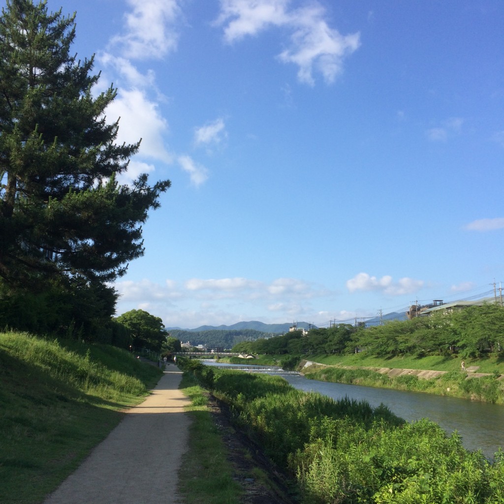 f:id:uiureo:20160623164835j:plain