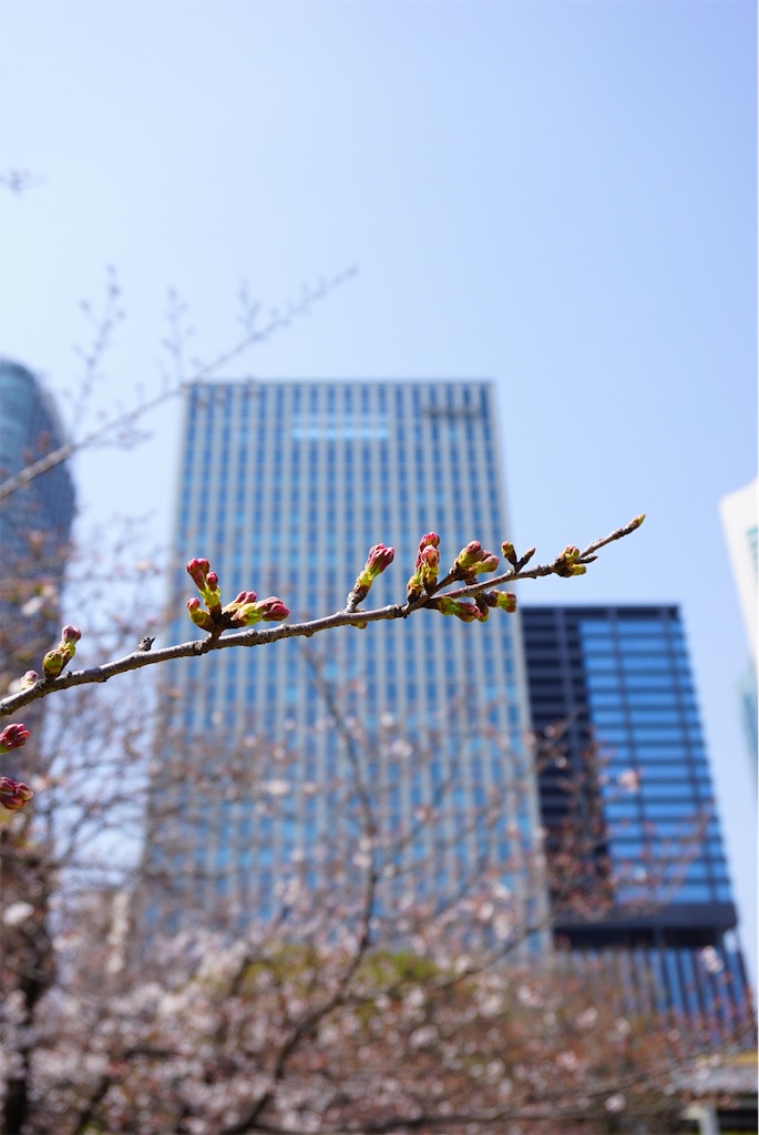 f:id:uji-shoten:20190330103714j:image