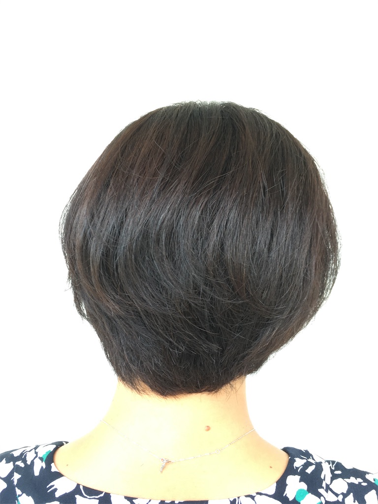 f:id:uji-shoten:20190628014552j:image