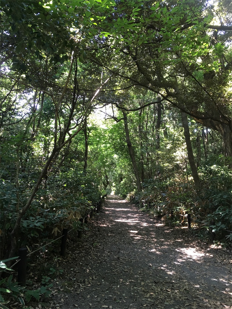 f:id:uji-shoten:20190814032422j:image