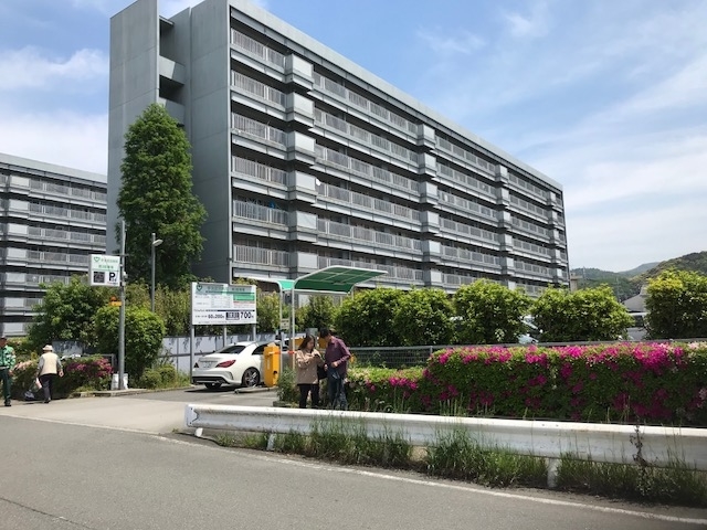 f:id:ujiblo:20190508235844j:plain