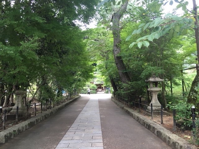 f:id:ujiblo:20190516192909j:plain