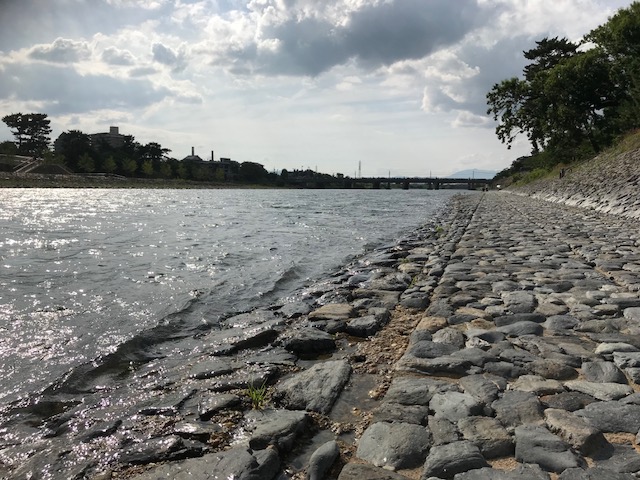 f:id:ujiblo:20190721003751j:plain f:id:ujiblo:20190721003751j:plain