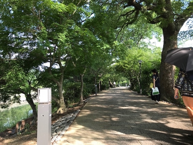 f:id:ujiblo:20190721003801j:plain f:id:ujiblo:20190721003801j:plain