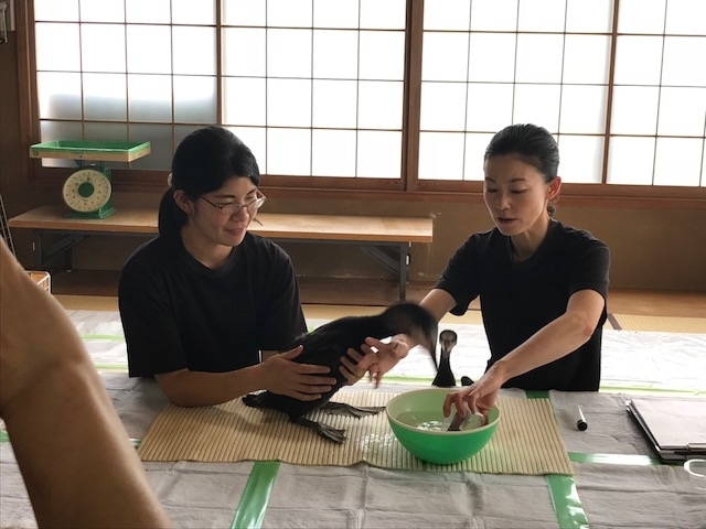 f:id:ujiblo:20190731235502j:plain