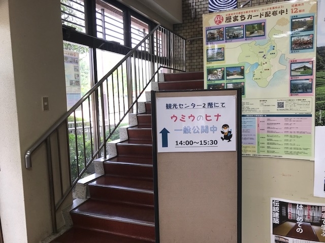 f:id:ujiblo:20190731235521j:plain