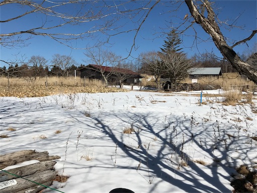 f:id:ujii:20190224232712j:image f:id:ujii:20190224232712j:image
