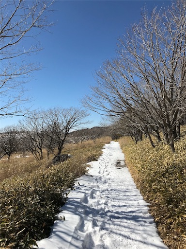 f:id:ujii:20190224232716j:image f:id:ujii:20190224232716j:image