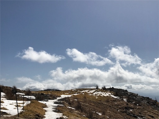 f:id:ujii:20190227153856j:image f:id:ujii:20190227153856j:image