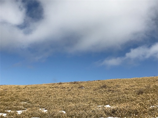 f:id:ujii:20190227153930j:image f:id:ujii:20190227153930j:image