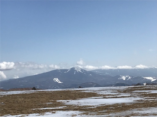 f:id:ujii:20190227153943j:image f:id:ujii:20190227153943j:image