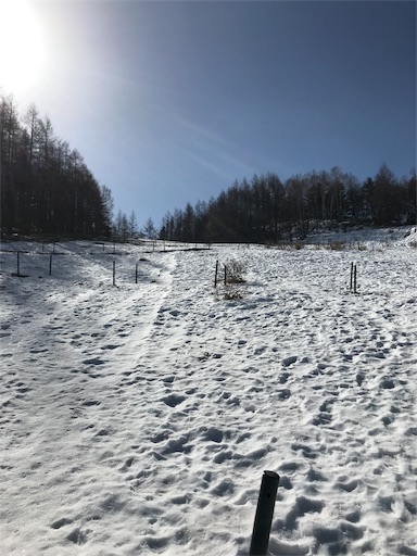 f:id:ujii:20190228221406j:image f:id:ujii:20190228221406j:image