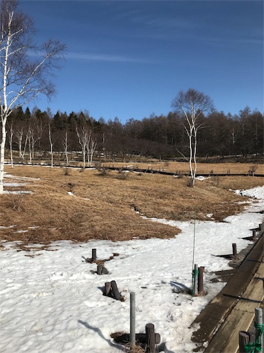 f:id:ujii:20190228221555j:image f:id:ujii:20190228221555j:image