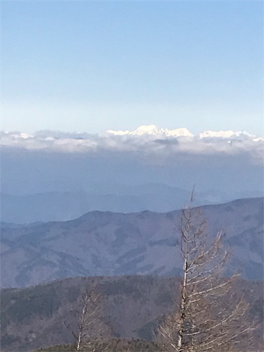 f:id:ujii:20190228221619j:image f:id:ujii:20190228221619j:image