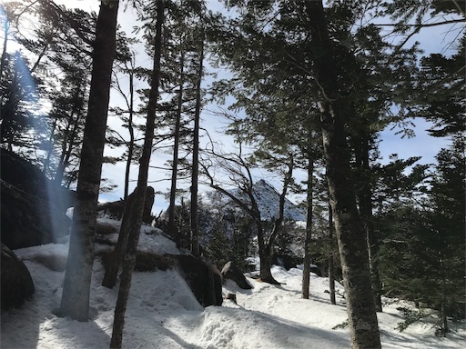 f:id:ujii:20190310161602j:image f:id:ujii:20190310161602j:image