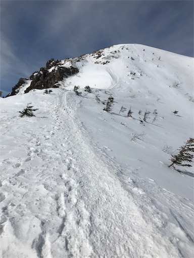 f:id:ujii:20190311111941j:image f:id:ujii:20190311111941j:image