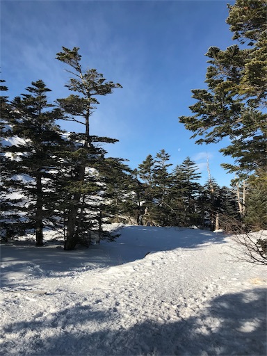 f:id:ujii:20190311115636j:image f:id:ujii:20190311115636j:image