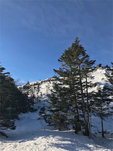 f:id:ujii:20190311120202j:image f:id:ujii:20190311120202j:image