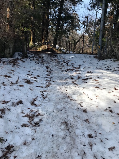 f:id:ujii:20190313225213j:image f:id:ujii:20190313225213j:image