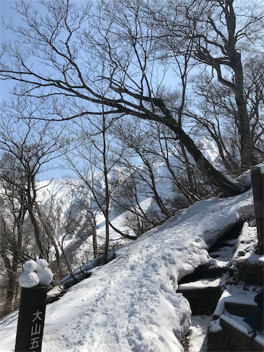 f:id:ujii:20190313225217j:image f:id:ujii:20190313225217j:image