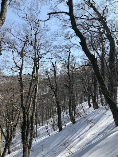 f:id:ujii:20190313225227j:image f:id:ujii:20190313225227j:image
