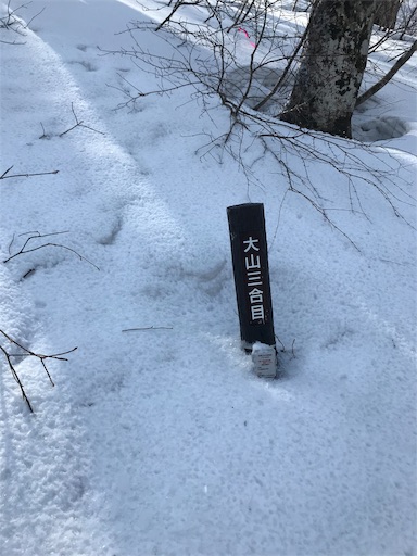 f:id:ujii:20190313225241j:image f:id:ujii:20190313225241j:image