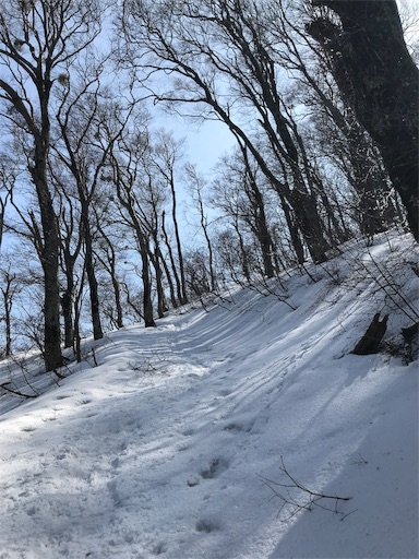 f:id:ujii:20190313225315j:image f:id:ujii:20190313225315j:image