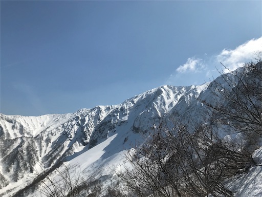f:id:ujii:20190313225323j:image f:id:ujii:20190313225323j:image