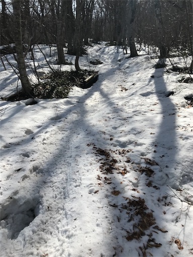 f:id:ujii:20190313225328j:image f:id:ujii:20190313225328j:image