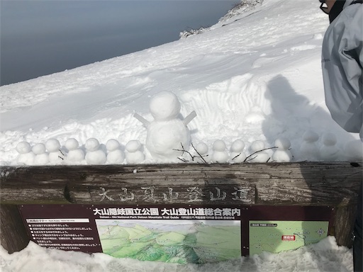 f:id:ujii:20190317072535j:image f:id:ujii:20190317072535j:image