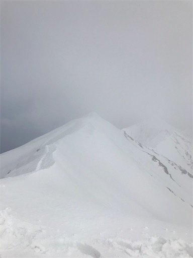 f:id:ujii:20190320014703j:image f:id:ujii:20190320014703j:image