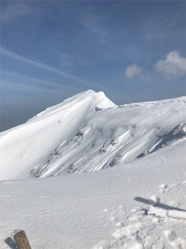 f:id:ujii:20190320014710j:image f:id:ujii:20190320014710j:image