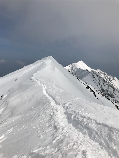 f:id:ujii:20190320014714j:image f:id:ujii:20190320014714j:image
