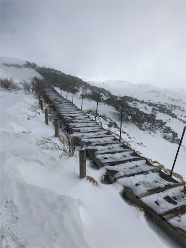 f:id:ujii:20190320014723j:image f:id:ujii:20190320014723j:image