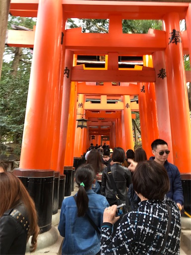 f:id:ujii:20190528233241j:image f:id:ujii:20190528233241j:image