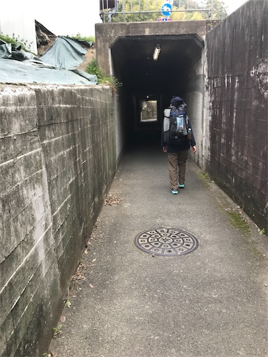 f:id:ujii:20190528233318j:image f:id:ujii:20190528233318j:image
