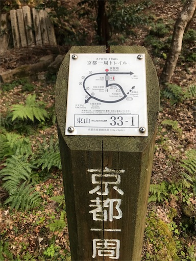 f:id:ujii:20190528233402j:image f:id:ujii:20190528233402j:image