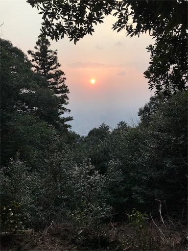 f:id:ujii:20190528233408j:image f:id:ujii:20190528233408j:image