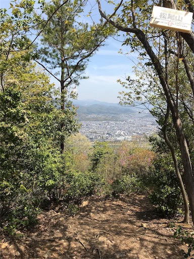 f:id:ujii:20190530234025j:image f:id:ujii:20190530234025j:image