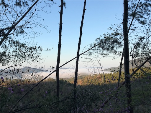f:id:ujii:20190530234038j:image f:id:ujii:20190530234038j:image
