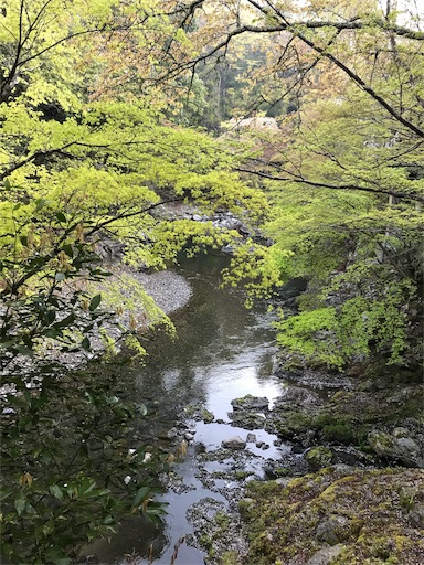 f:id:ujii:20190530234054j:image f:id:ujii:20190530234054j:image