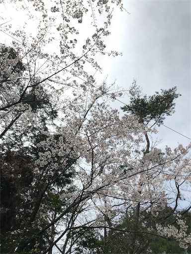 f:id:ujii:20190530234115j:image f:id:ujii:20190530234115j:image
