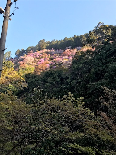 f:id:ujii:20190530234126j:image f:id:ujii:20190530234126j:image