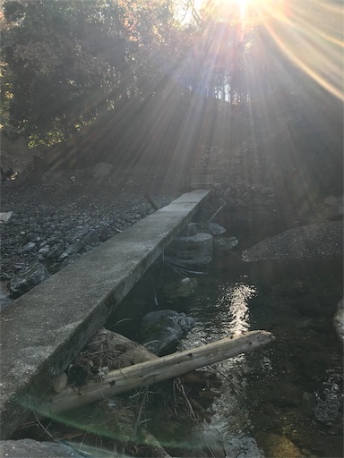f:id:ujii:20190530234140j:image f:id:ujii:20190530234140j:image